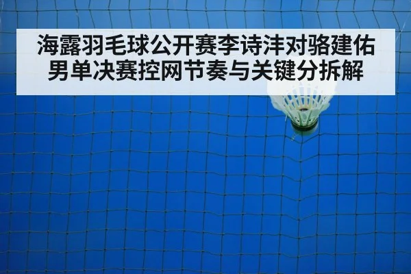 海露羽毛球公开赛李诗沣对骆建佑男单决赛控网节奏与关键分拆解